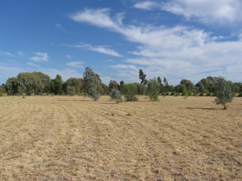 Lot 33 Bendygleet Road, Moree NSW 2400