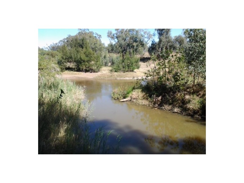 51 River Street, Moree NSW 2400