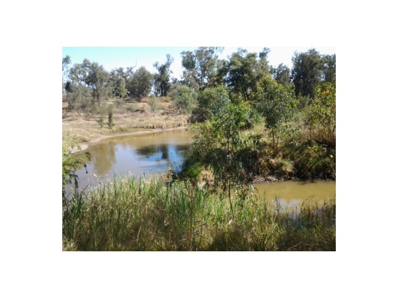 51 River Street, Moree NSW 2400