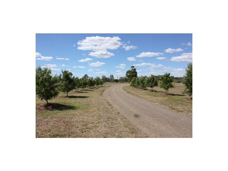 “Belbowrie”, Moree NSW 2400