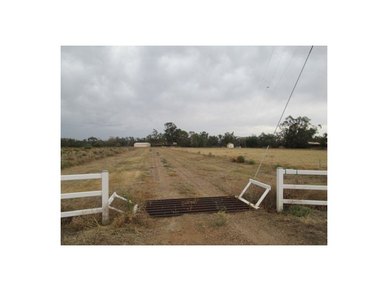 242 Bendygleet Road, Moree NSW 2400