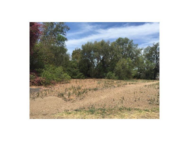 113 Heber Street, Moree NSW 2400