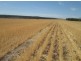 . “Koinonia”,, Biniguy NSW 2399