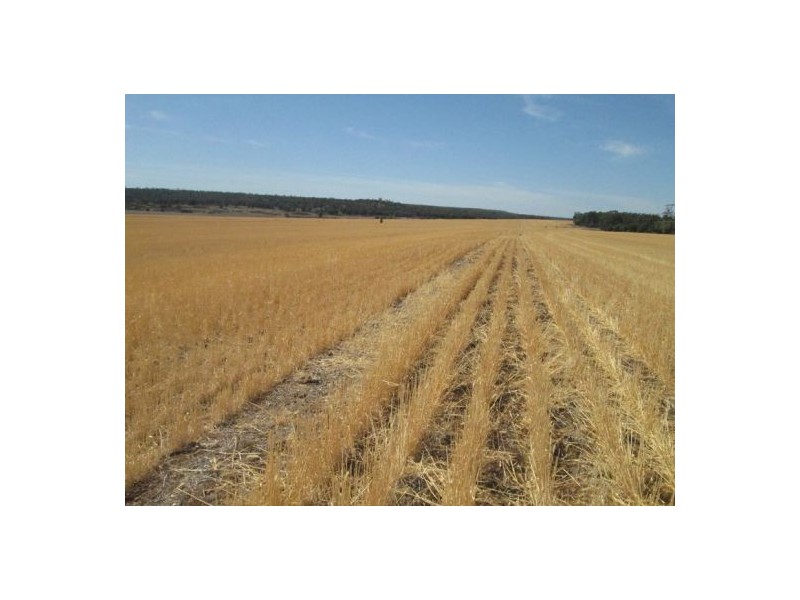 . “Koinonia”,, Biniguy NSW 2399