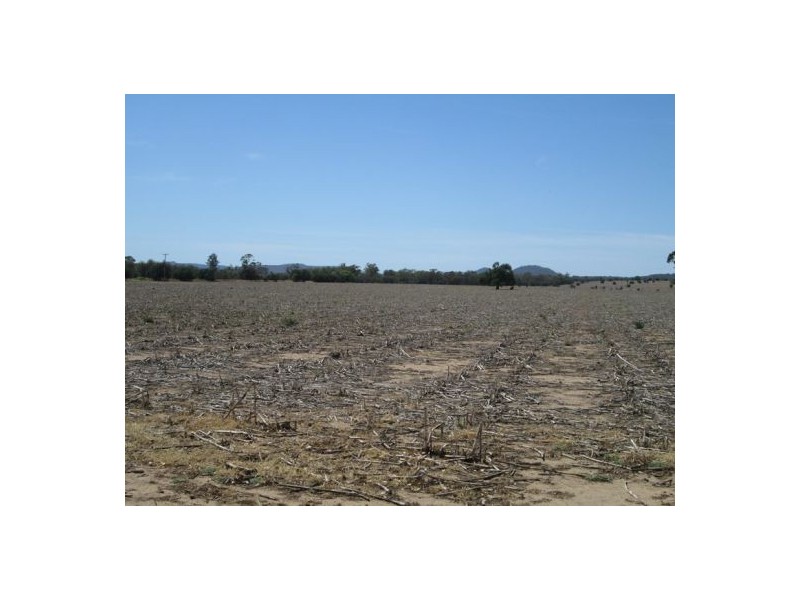 . “Koinonia”,, Biniguy NSW 2399