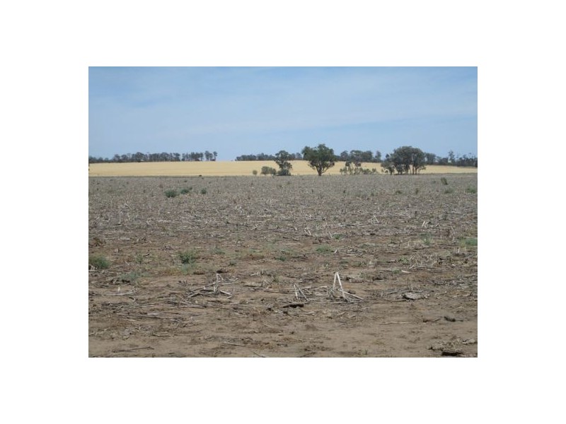 . “Koinonia”,, Biniguy NSW 2399