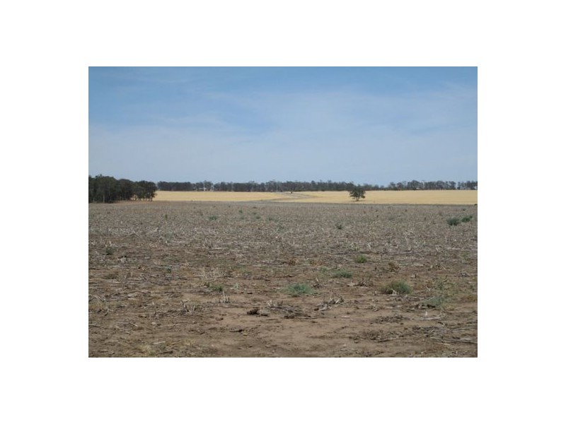 . “Koinonia”,, Biniguy NSW 2399