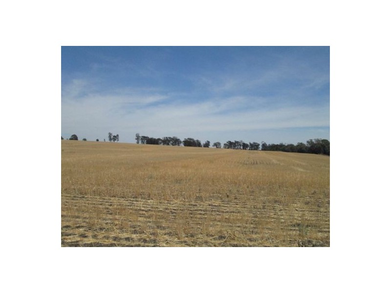 . “The Ponds”,, Biniguy NSW 2399