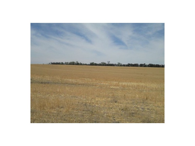 . “The Ponds”,, Biniguy NSW 2399