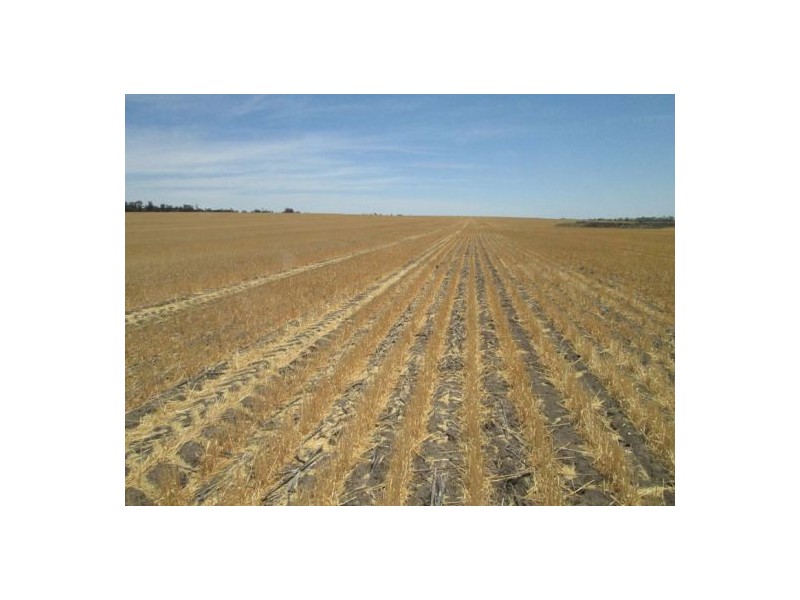 . “The Ponds”,, Biniguy NSW 2399