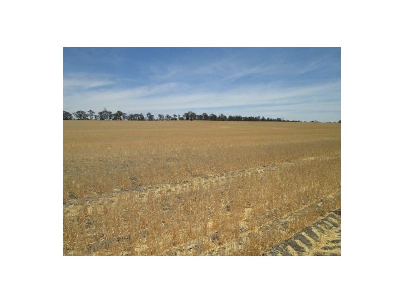 . “The Ponds”,, Biniguy NSW 2399