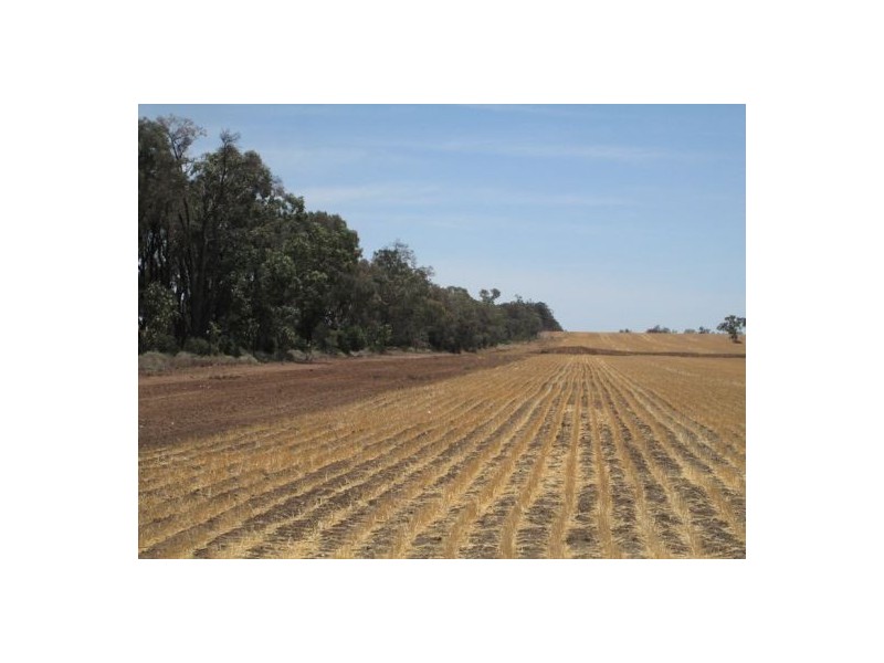 . “The Ponds”,, Biniguy NSW 2399