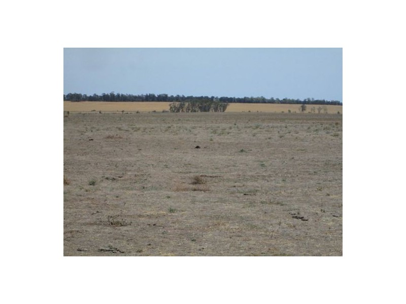 . “The Ponds”,, Biniguy NSW 2399