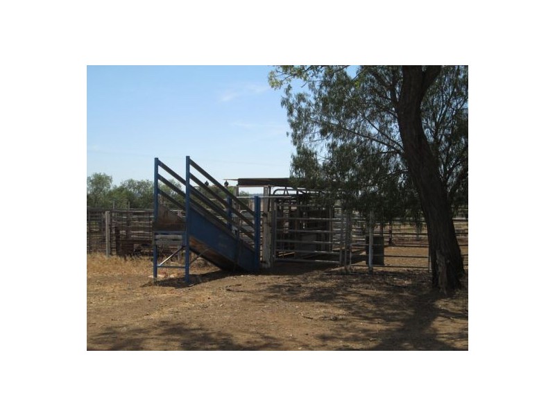 . “Glenhope”,, Gravesend NSW 2401