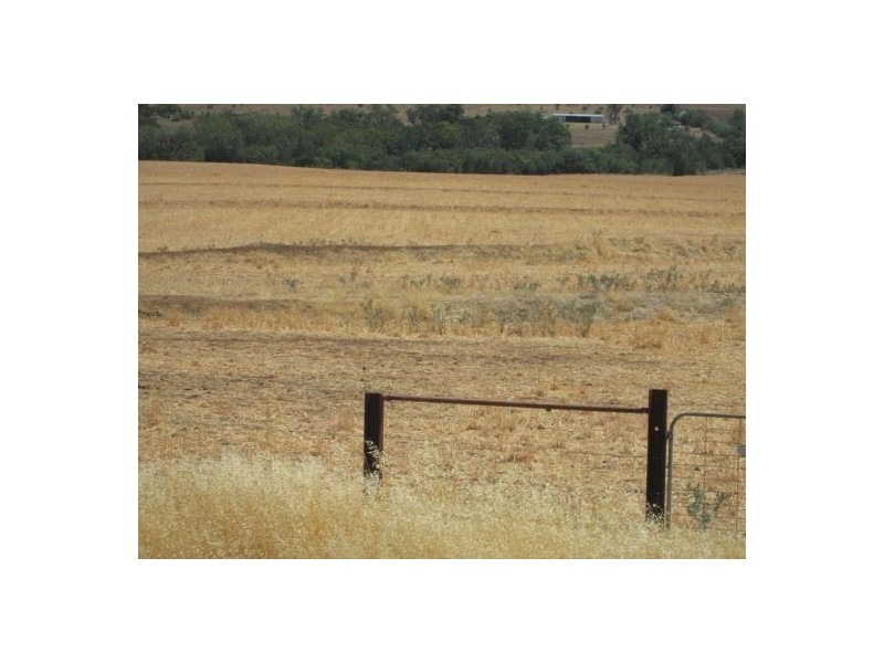 . “Glenhope”,, Gravesend NSW 2401