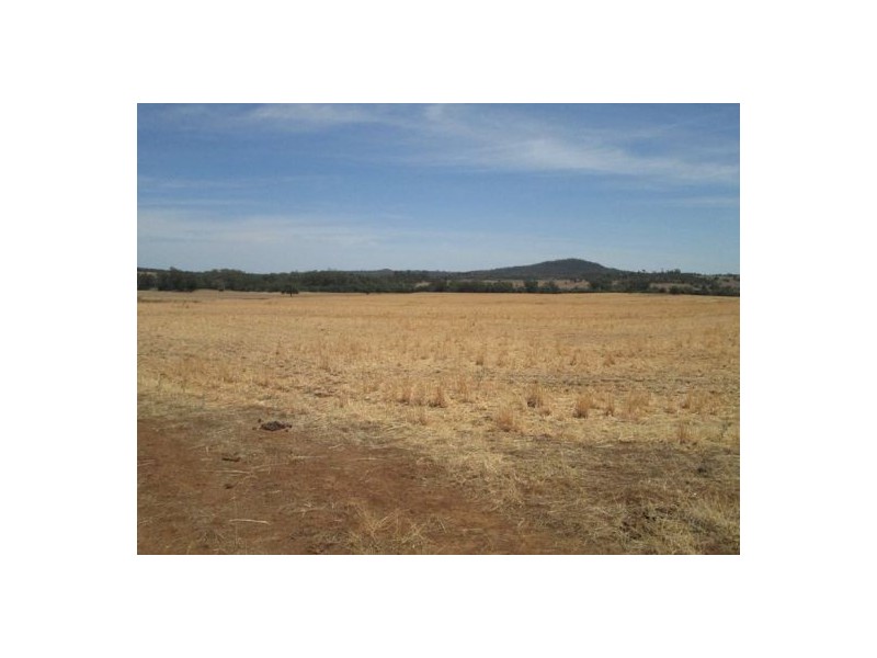 . “Glenhope”,, Gravesend NSW 2401