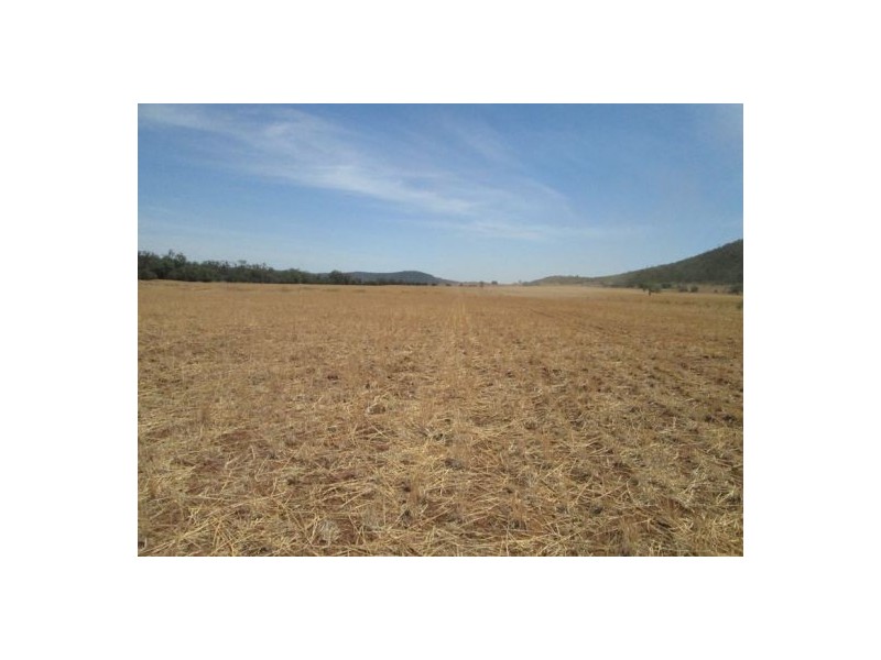 . “Glenhope”,, Gravesend NSW 2401