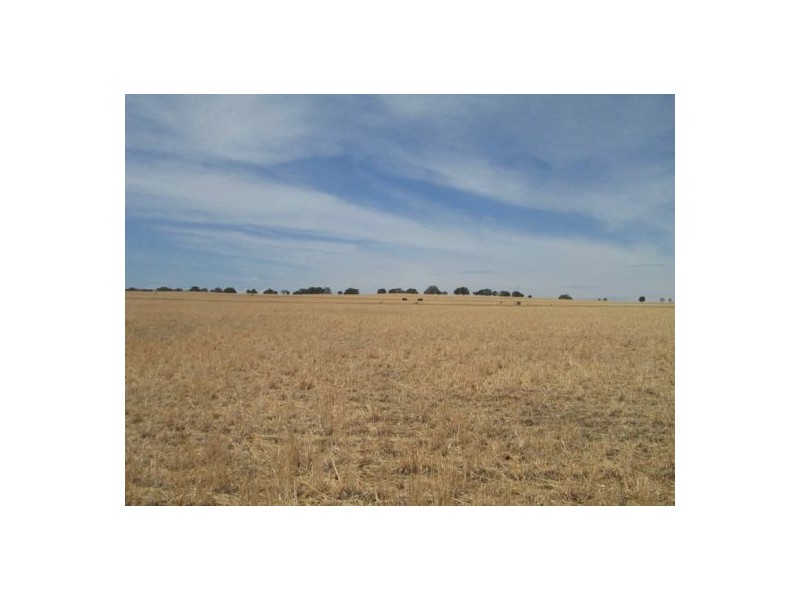 . “Glenhope”,, Gravesend NSW 2401