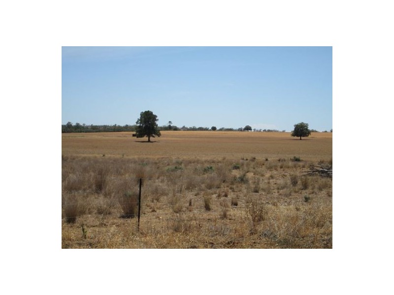 . “Glenhope”,, Gravesend NSW 2401