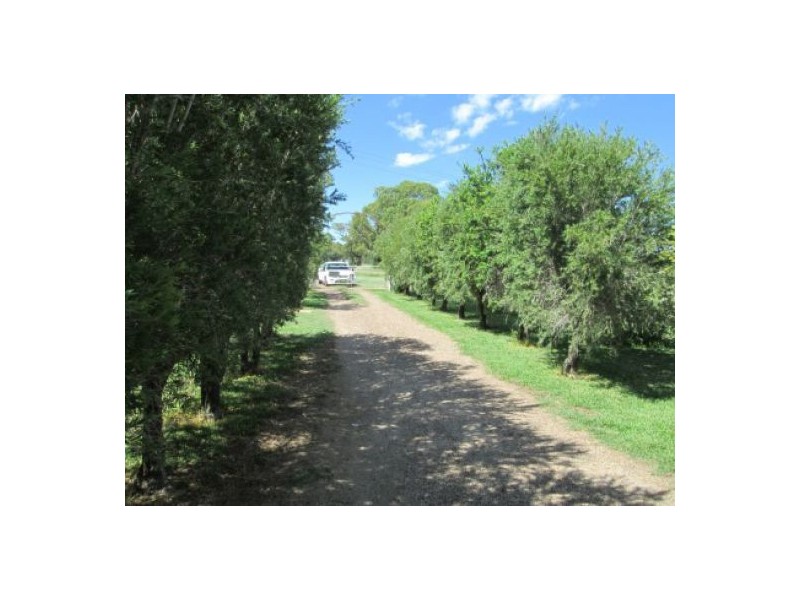 Wongabeena Gwydir Highway, Biniguy NSW 2399