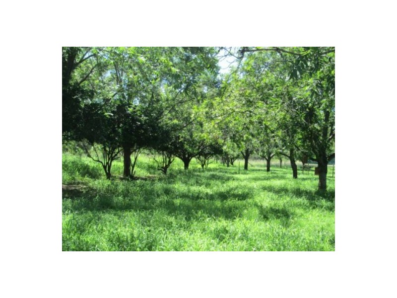 Wongabeena Gwydir Highway, Biniguy NSW 2399