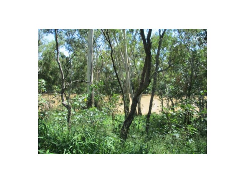 Wongabeena Gwydir Highway, Biniguy NSW 2399