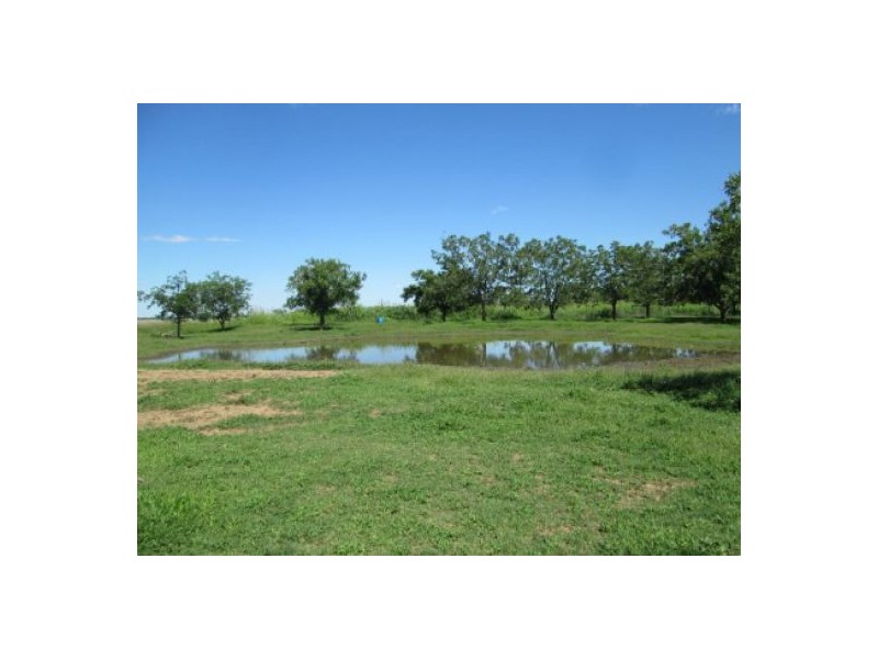 Wongabeena Gwydir Highway, Biniguy NSW 2399