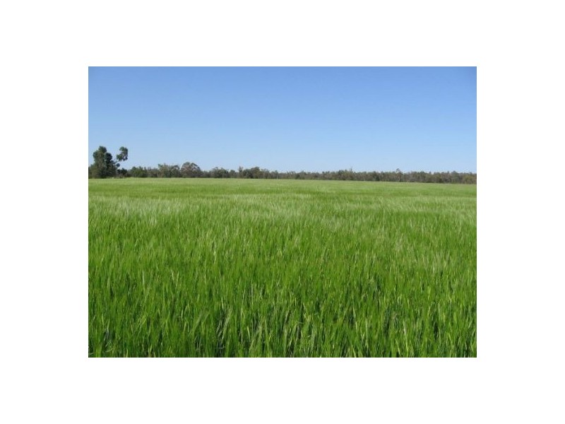 “Burr Island”, Moree NSW 2400