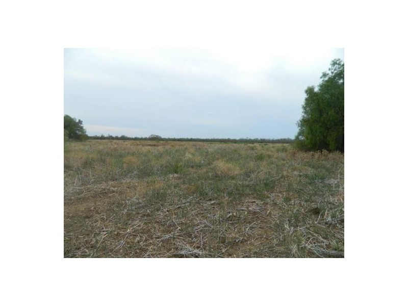 “Burr Island”, Moree NSW 2400