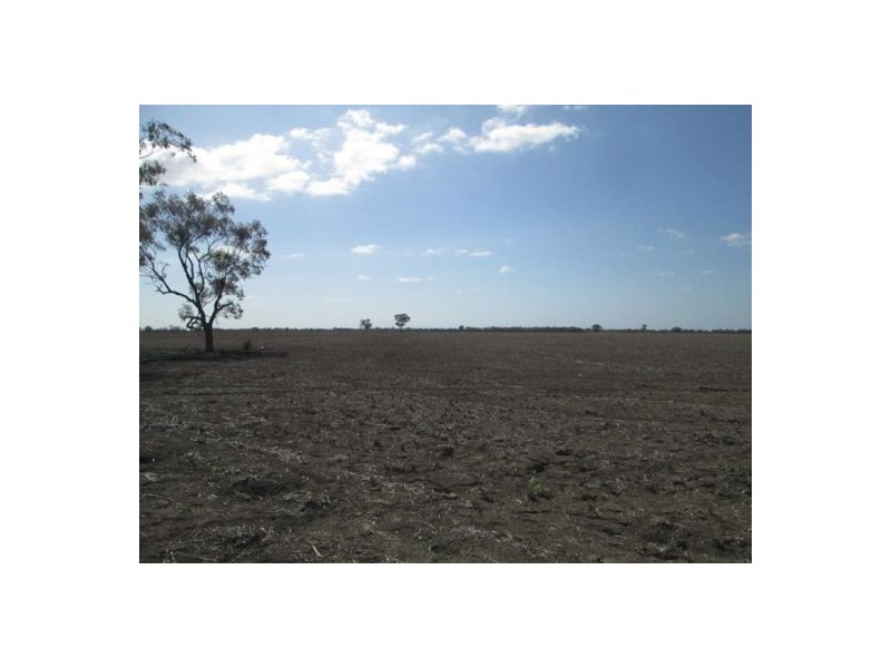 . “Boyanga”, Moree NSW 2400