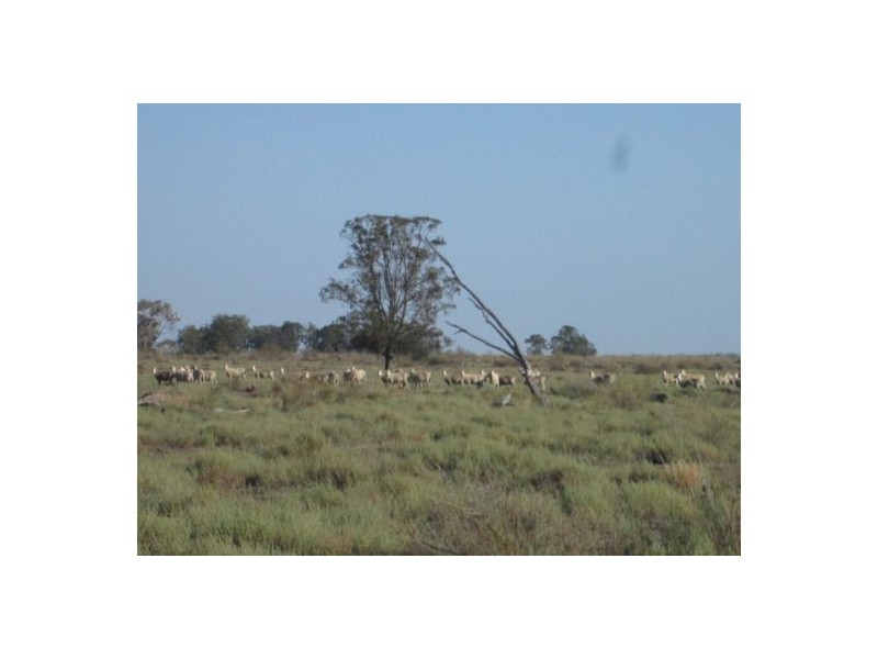 . “Boyanga”, Moree NSW 2400