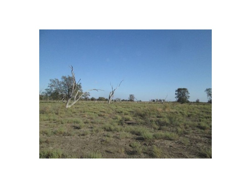 . “Boyanga”, Moree NSW 2400