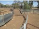 . “Boyanga”, Moree NSW 2400