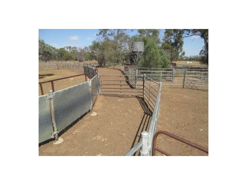 . “Boyanga”, Moree NSW 2400