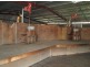 . “Boyanga”, Moree NSW 2400