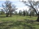 21 TIRZAH STREET, Moree NSW 2400