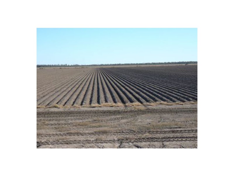 Yarramildi & Riverside, Mungindi NSW 2406