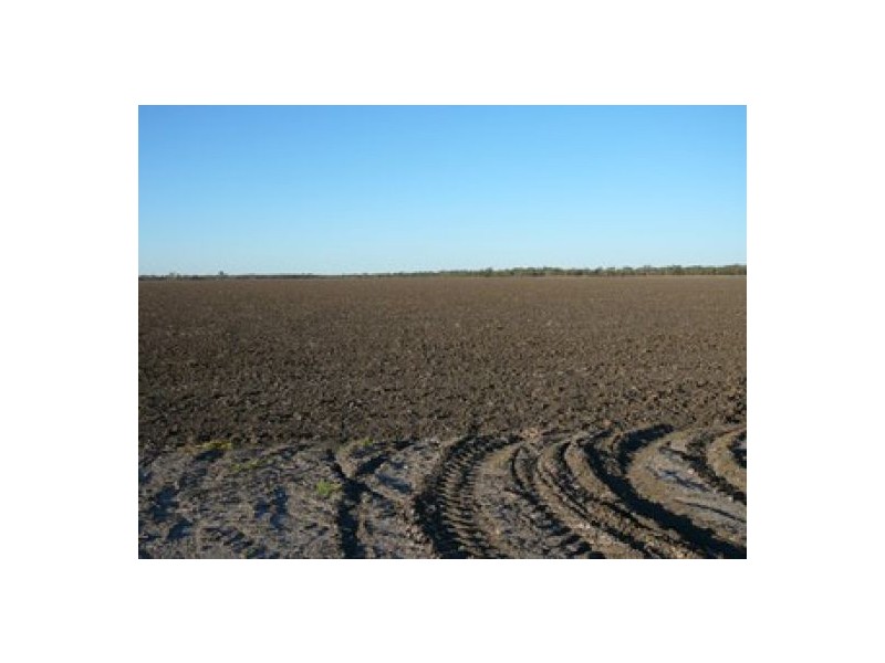 Yarramildi & Riverside, Mungindi NSW 2406