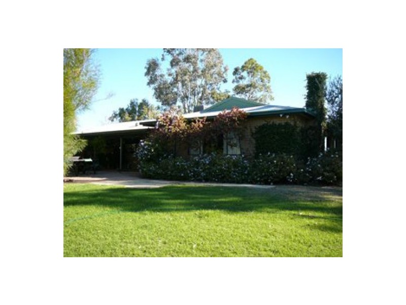 Yarramildi & Riverside, Mungindi NSW 2406