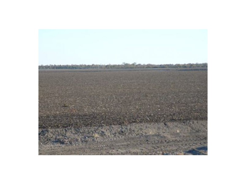 Yarramildi & Riverside, Mungindi NSW 2406