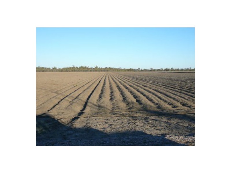 Yarramildi & Riverside, Mungindi NSW 2406