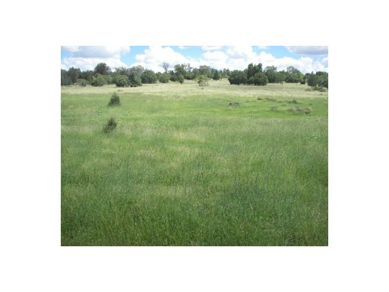 North Star NSW 2408