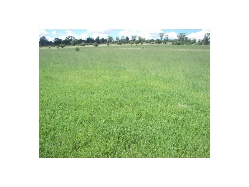 North Star NSW 2408