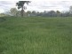 North Star NSW 2408
