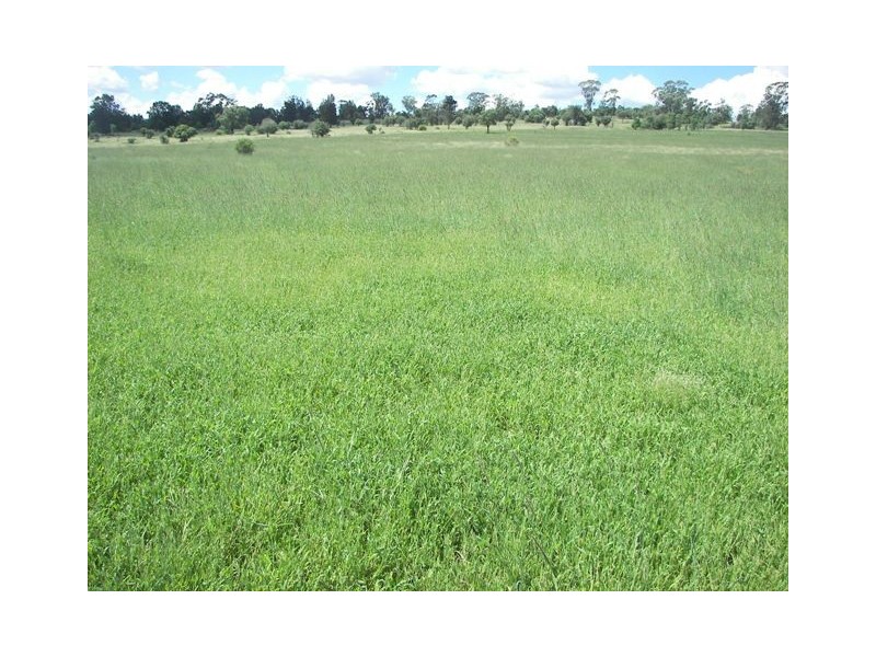North Star NSW 2408