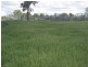 North Star NSW 2408