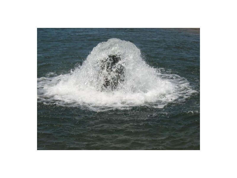 Water Tender, Moree NSW 2400