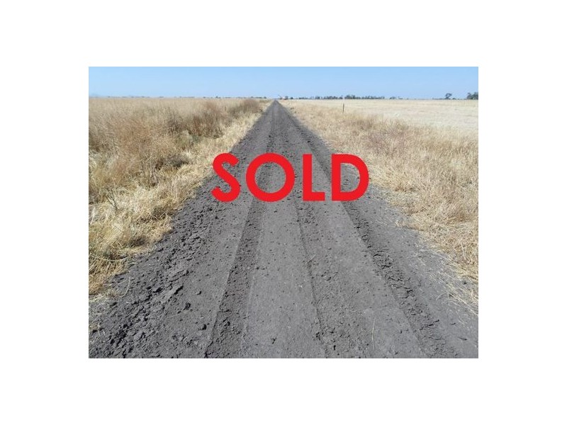 “Wongaree”, Moree NSW 2400