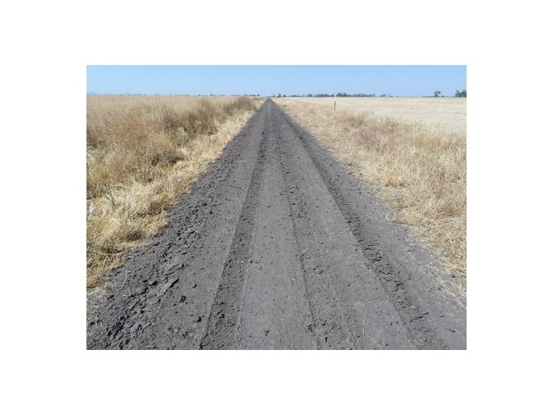 “Wongaree”, Moree NSW 2400