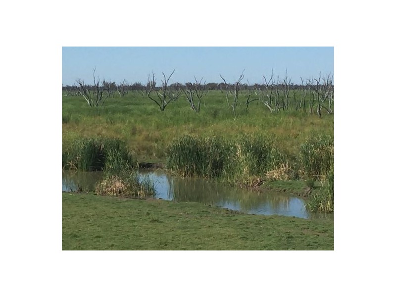 MOOLABULLA, Garah NSW 2405
